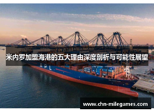 米内罗加盟海港的五大理由深度剖析与可能性展望