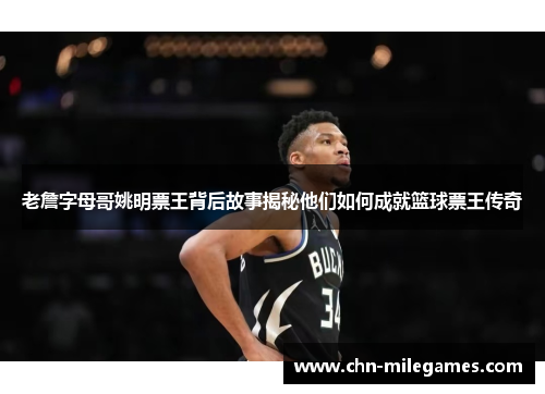 老詹字母哥姚明票王背后故事揭秘他们如何成就篮球票王传奇