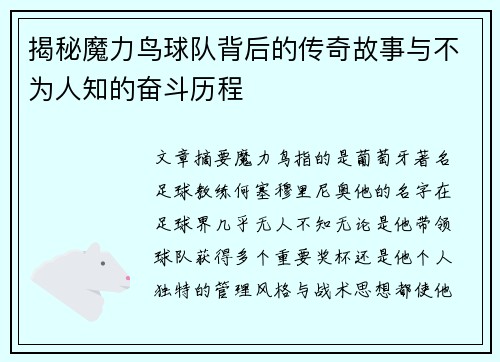 揭秘魔力鸟球队背后的传奇故事与不为人知的奋斗历程