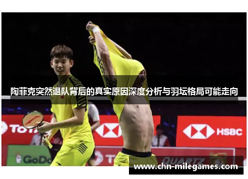 陶菲克突然退队背后的真实原因深度分析与羽坛格局可能走向