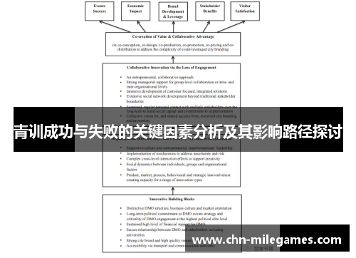 青训成功与失败的关键因素分析及其影响路径探讨